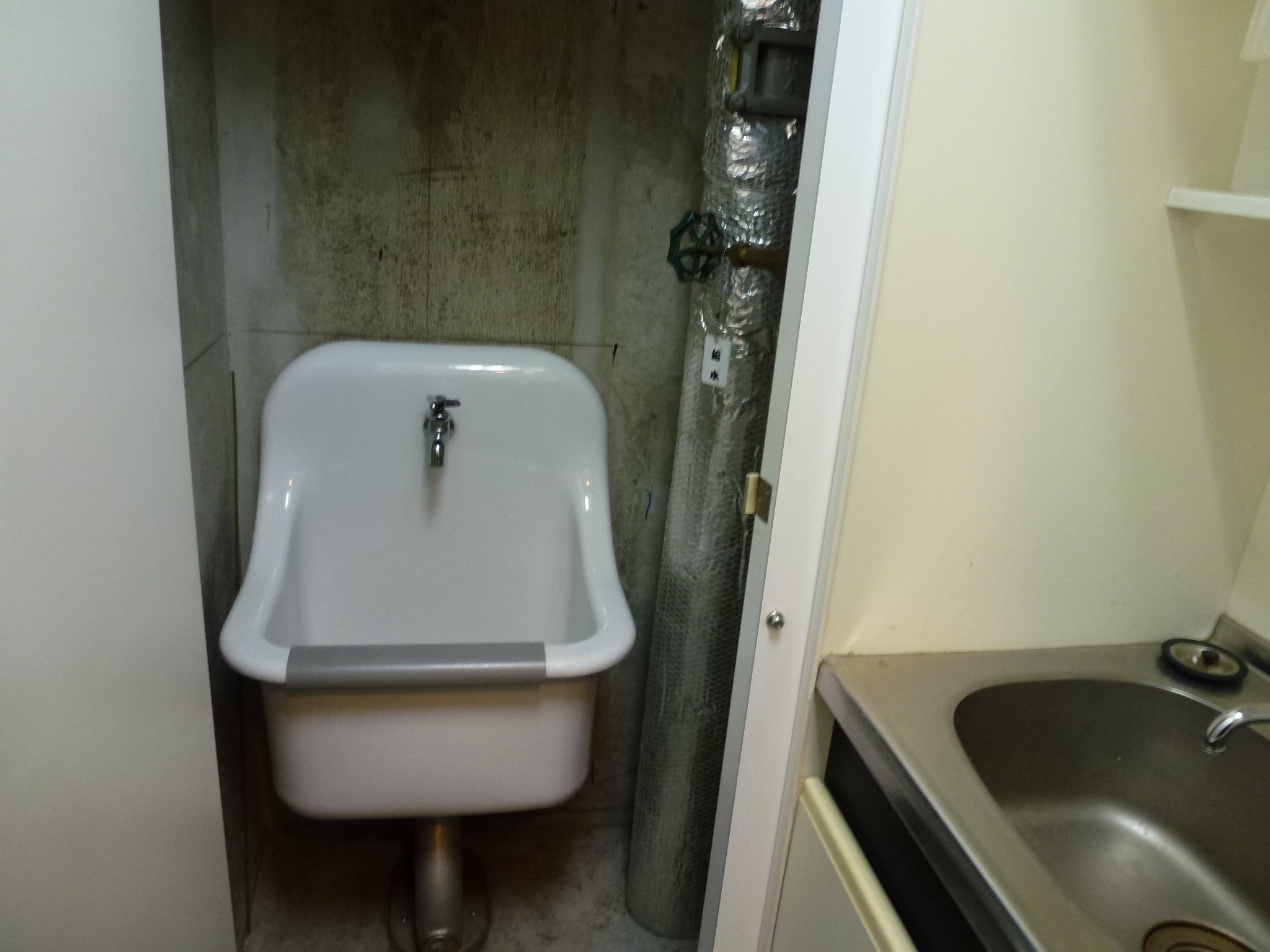 P1030674.JPG