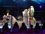 img0013.jpg