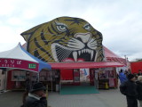 img0017.jpg