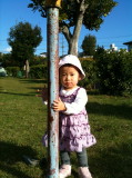 img0017.jpg