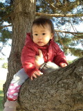 img0036.jpg