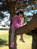 img0060.jpg