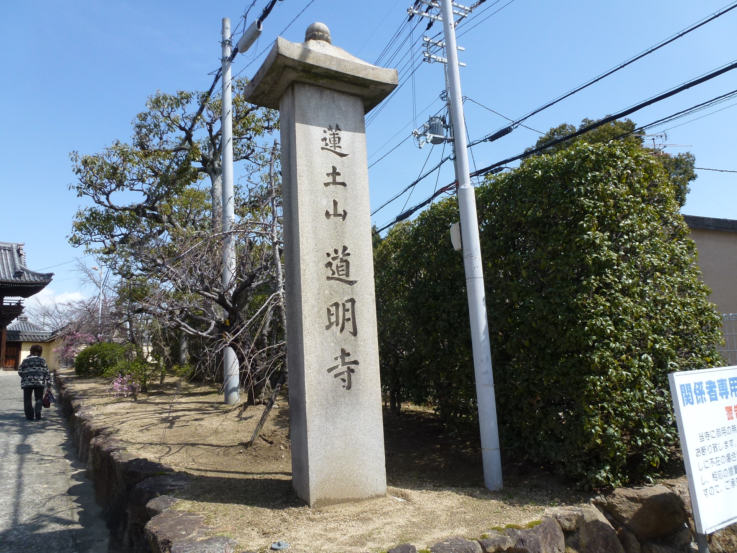 P1030822.JPG