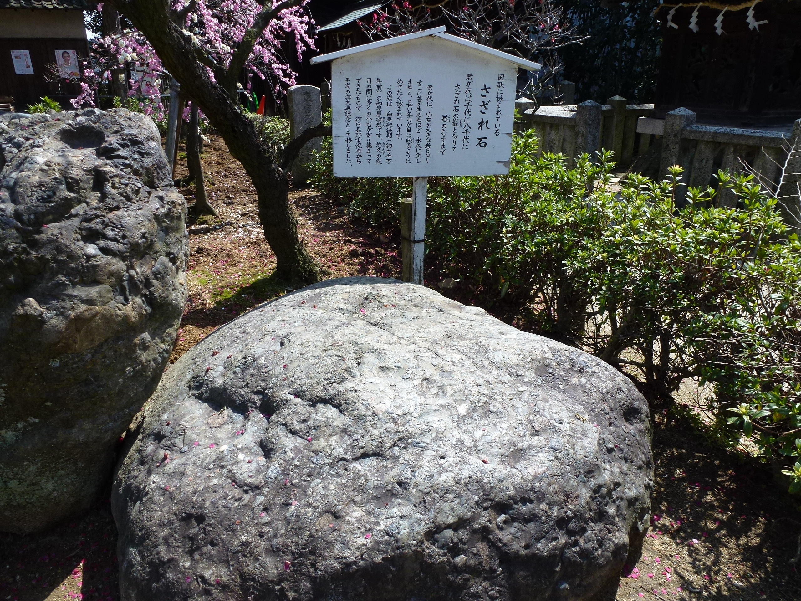 P1030835.JPG