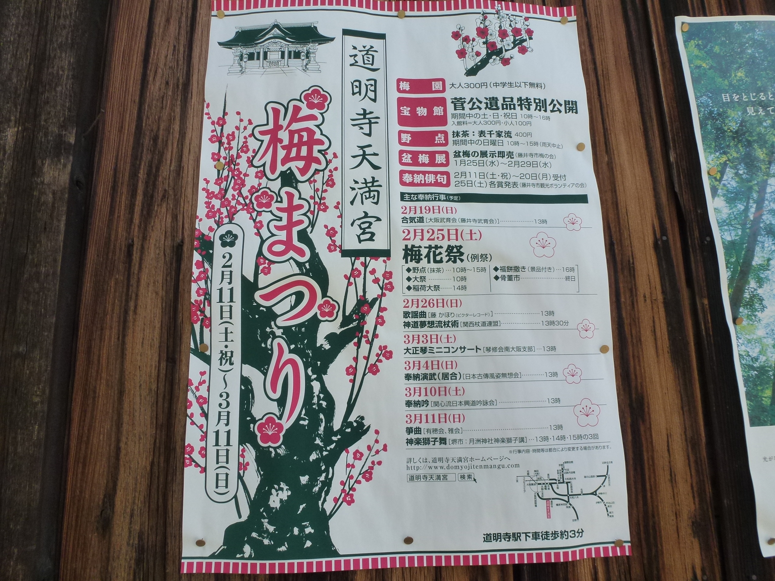 P1030857.JPG