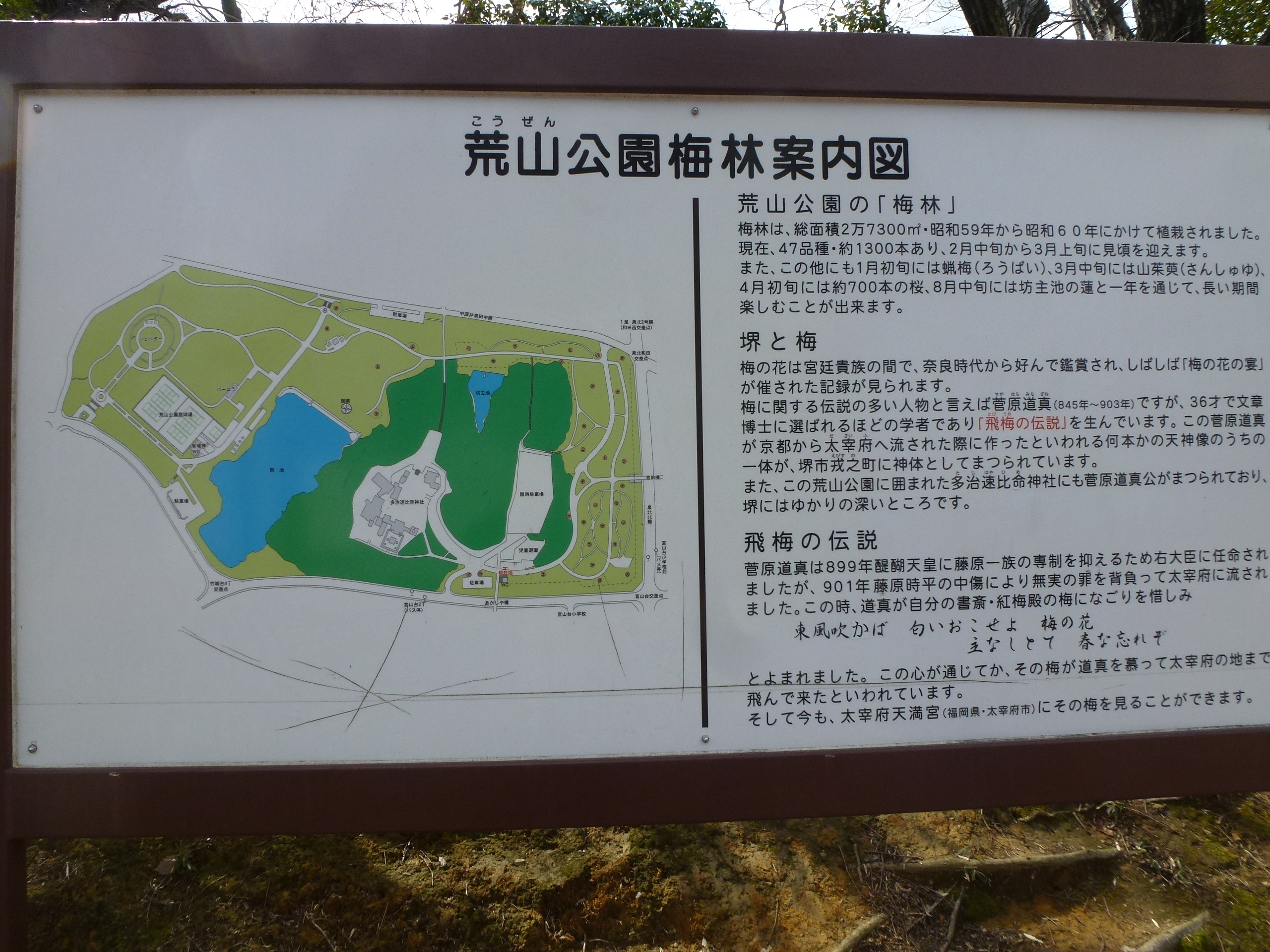 P1030879.JPG