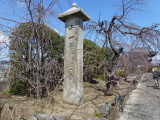 img0001.jpg