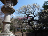 img0012.jpg
