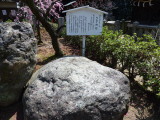 img0013.jpg