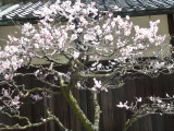 img0015.jpg