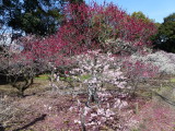 img0016.jpg