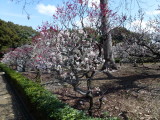 img0017.jpg