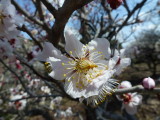 img0018.jpg