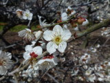 img0019.jpg
