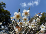 img0020.jpg