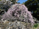 img0022.jpg
