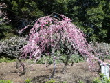 img0025.jpg