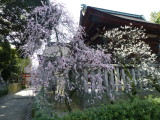 img0028.jpg