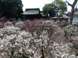 img0031.jpg