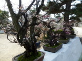 img0036.jpg