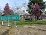 img0044.jpg