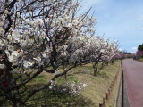 img0045.jpg
