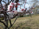 img0046.jpg