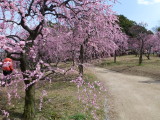 img0053.jpg