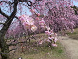 img0054.jpg