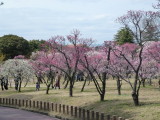 img0056.jpg