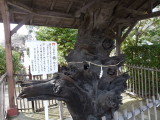 img0059.jpg