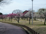 img0061.jpg