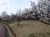 img0062.jpg