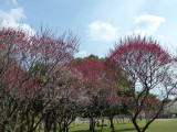 img0068.jpg