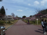 img0072.jpg