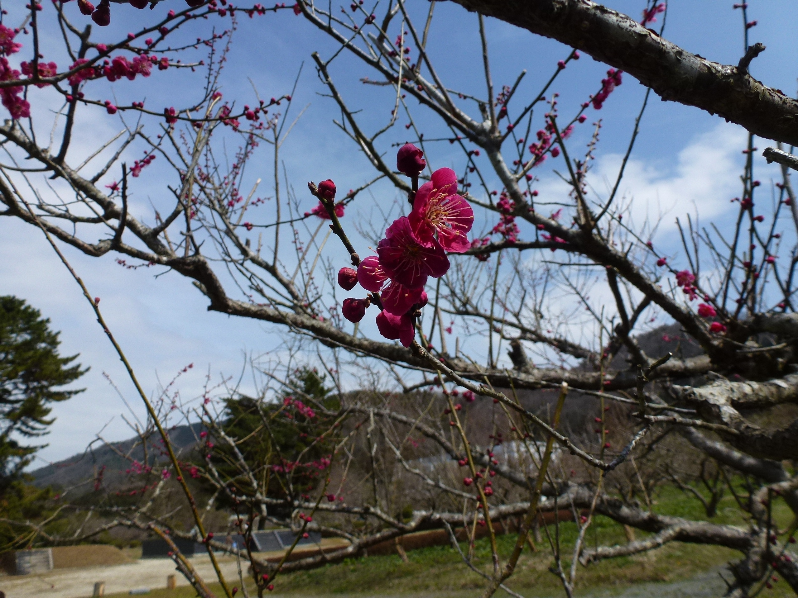 P1030913.JPG