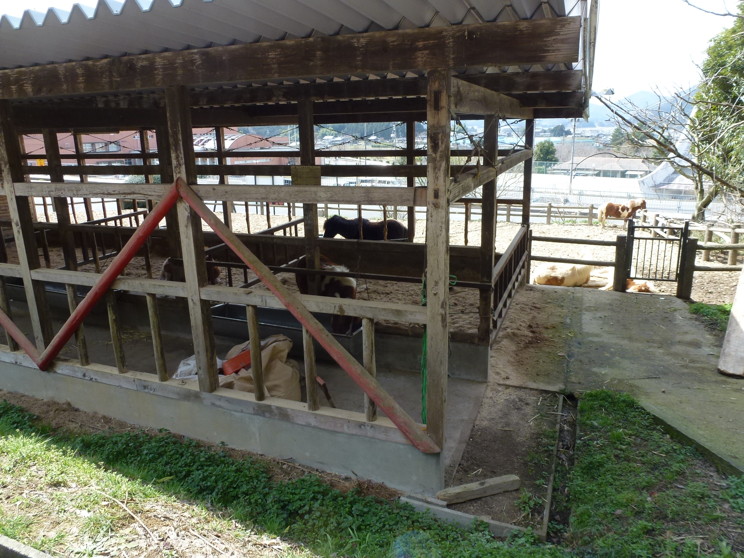 P1030917.JPG