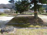 img0010.jpg