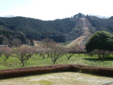 img0014.jpg