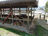 img0019.jpg