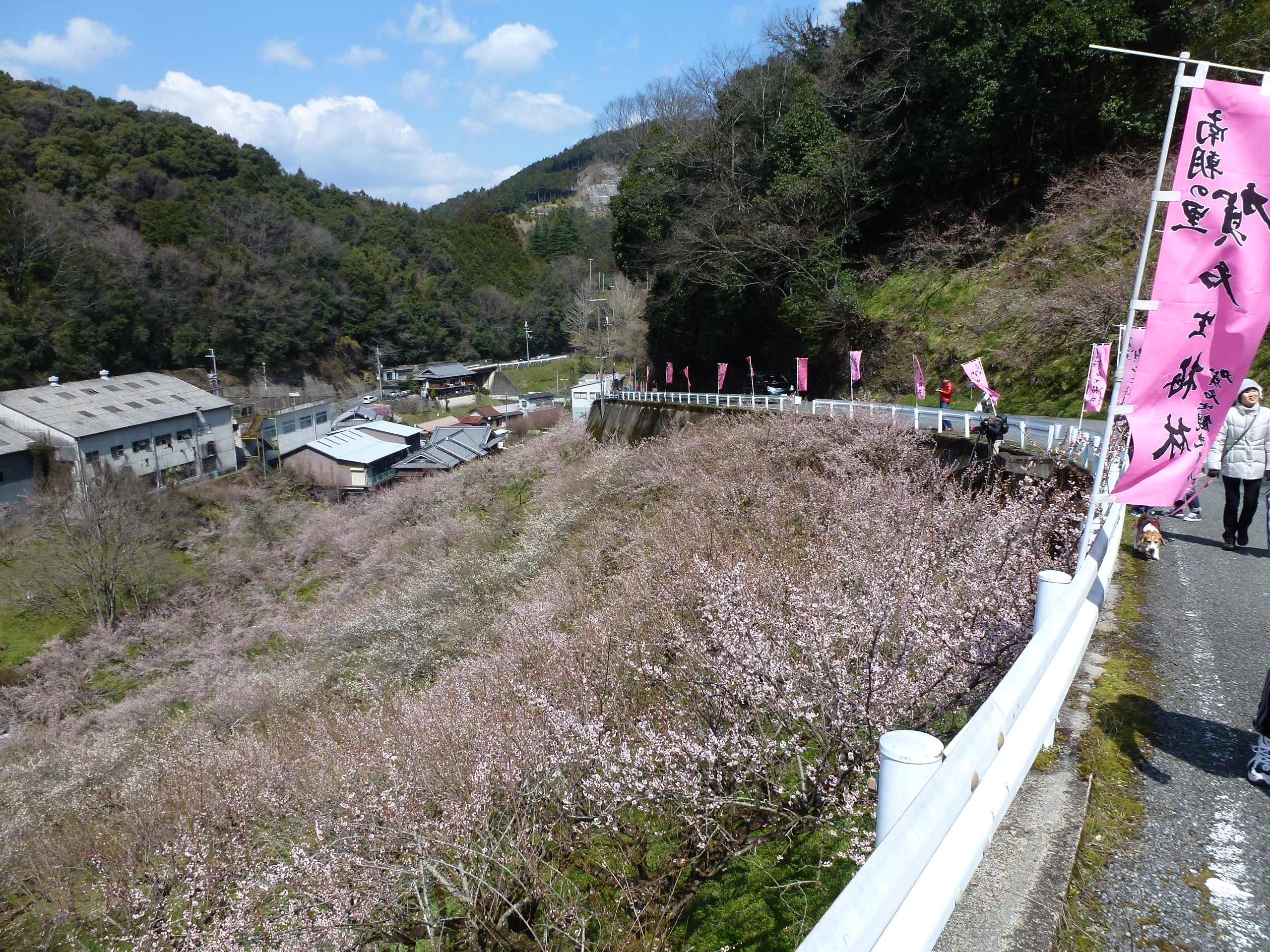 P1030990.JPG