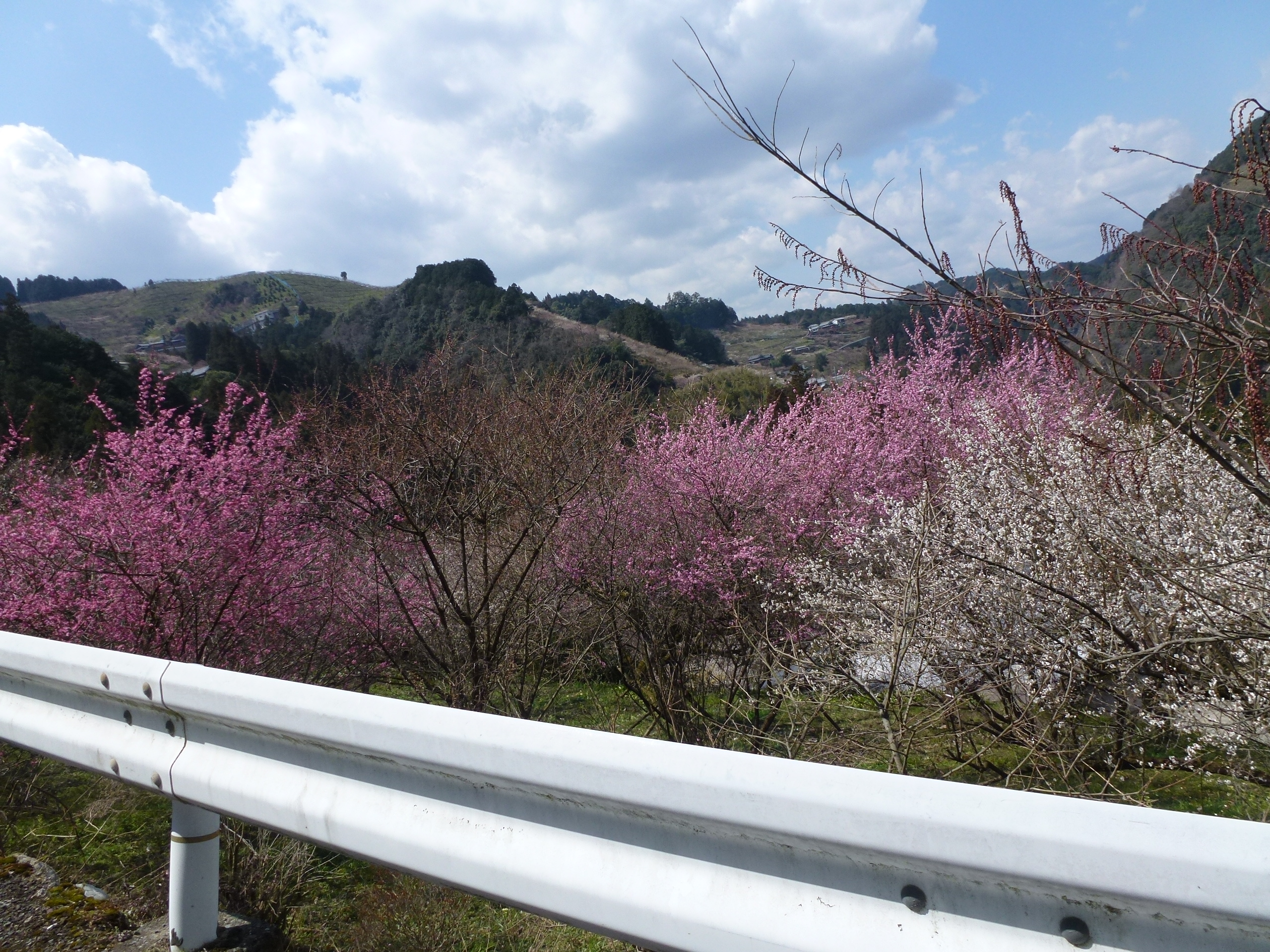 P1030997.JPG