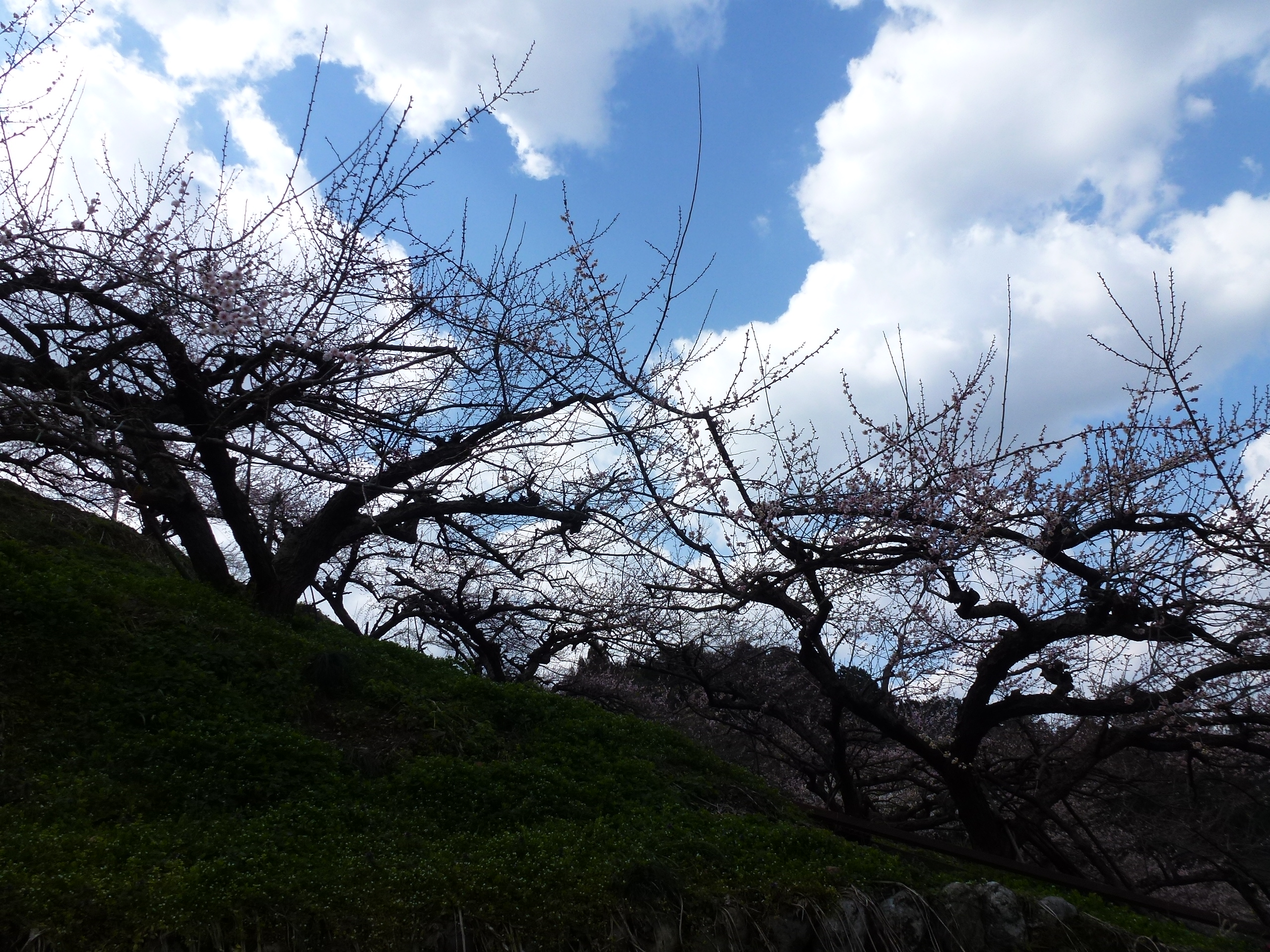 P1030998.JPG