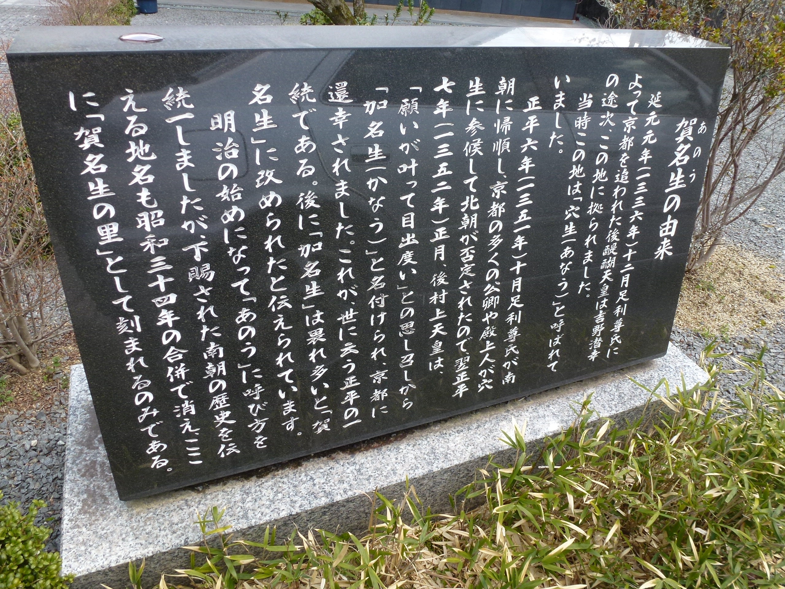 P1040001.JPG