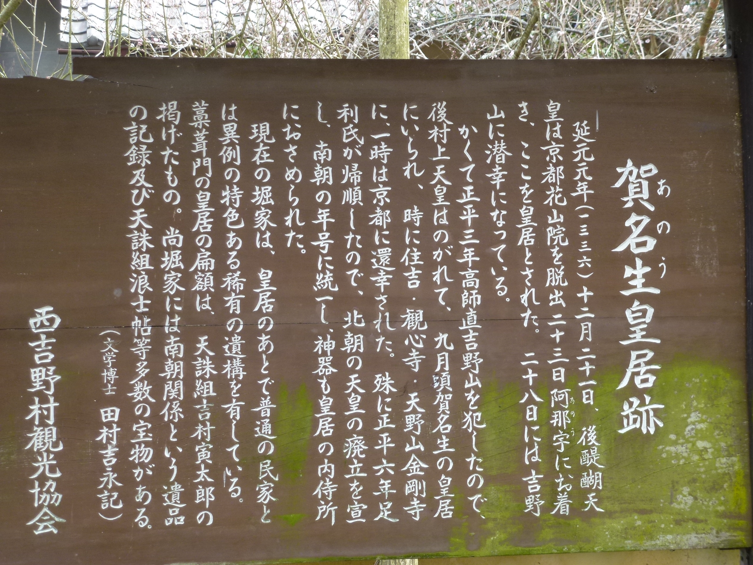 P1040014.JPG
