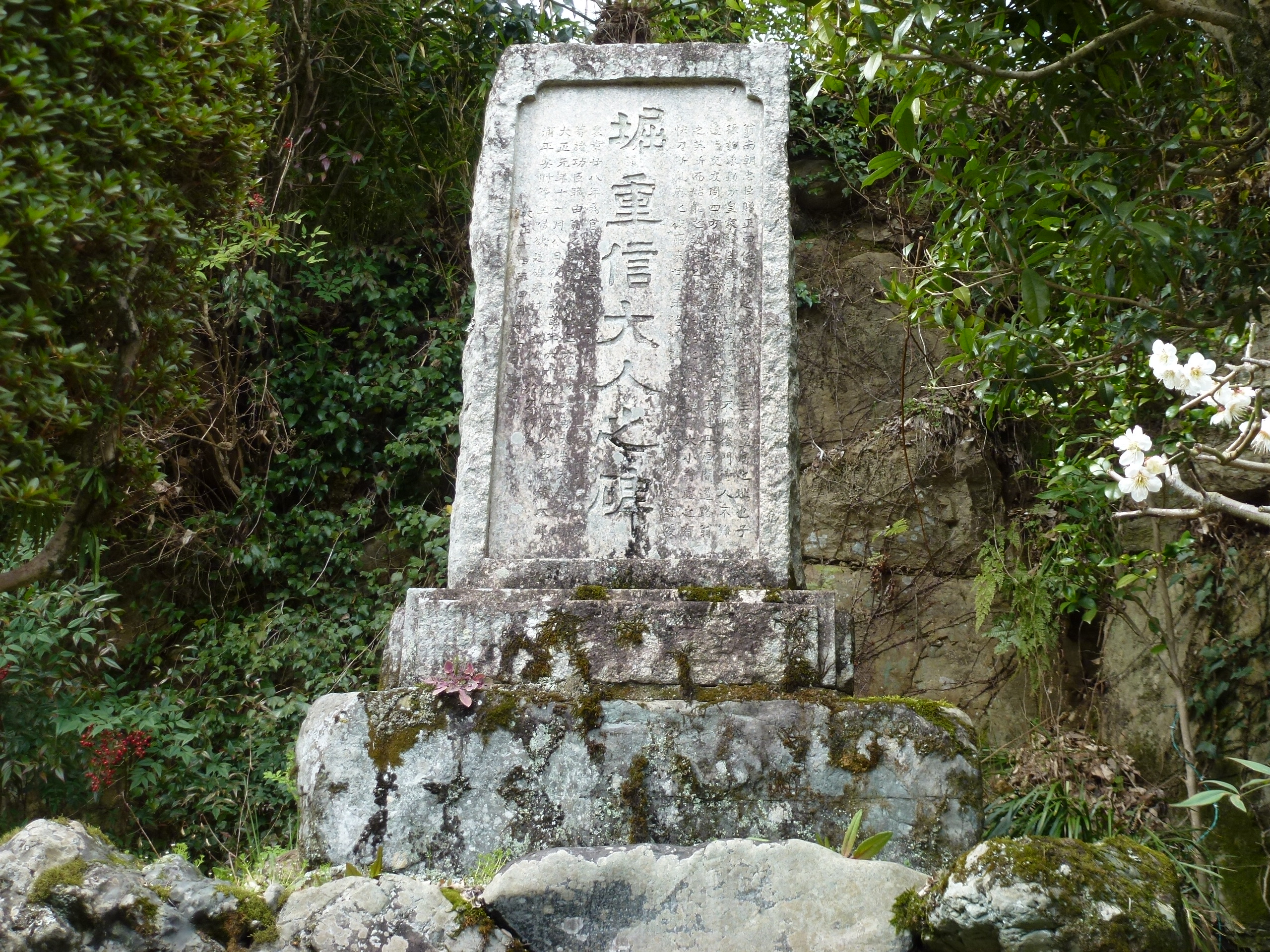 P1040017.JPG