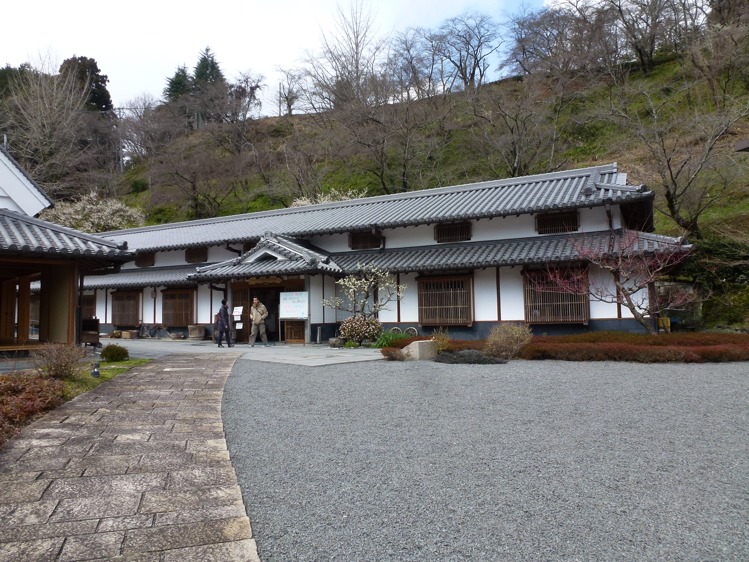 P1040019.JPG