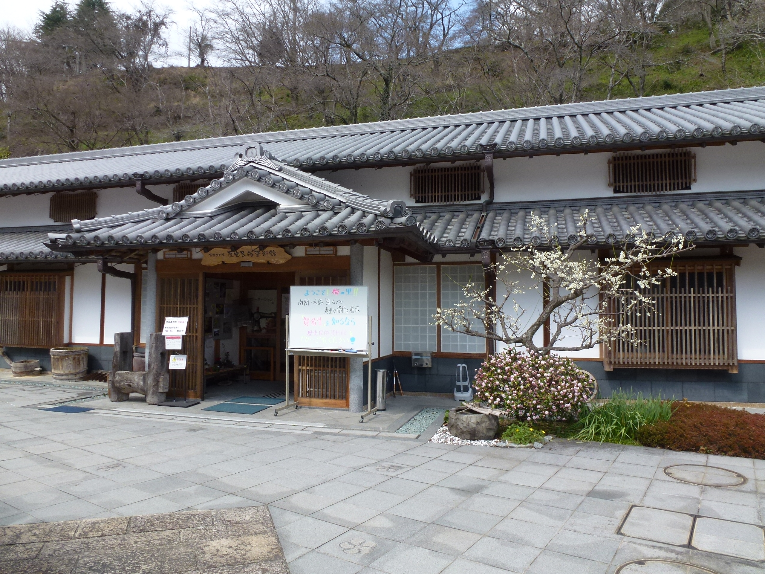 P1040020.JPG