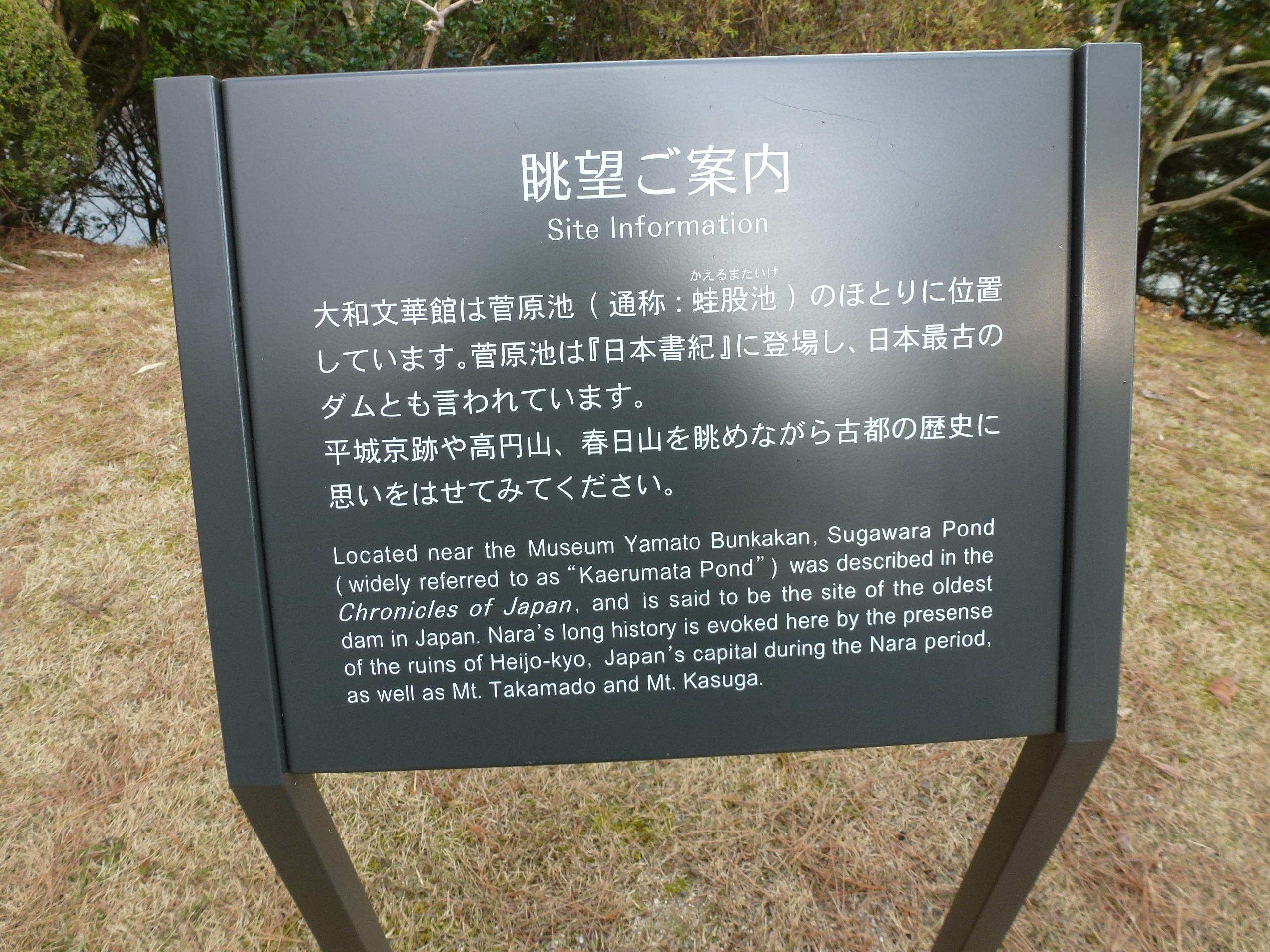 P1040041.JPG