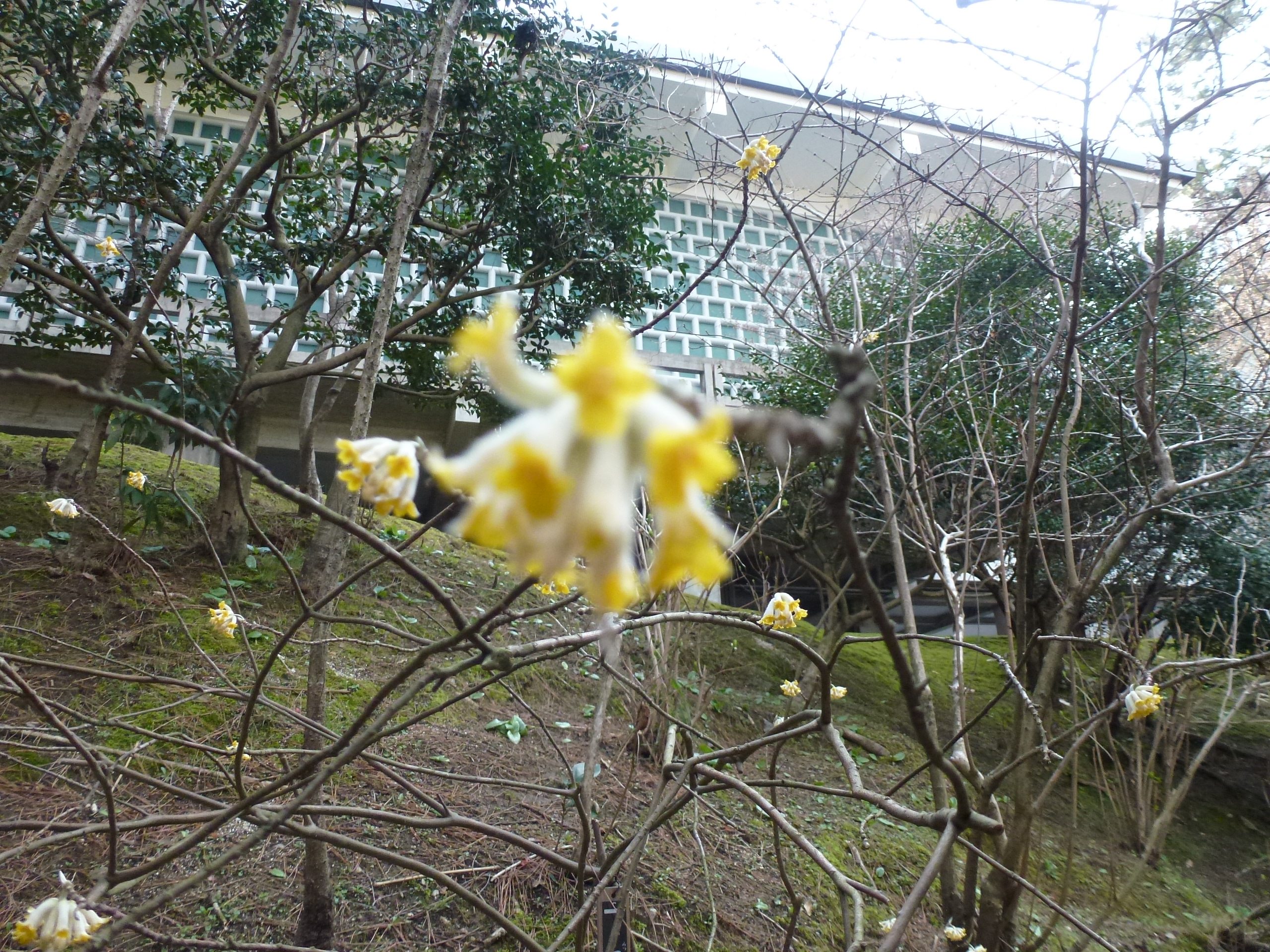 P1040044.JPG